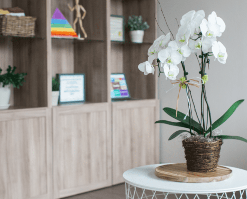White orchid plant on a small table.