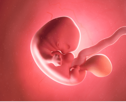 Fetus developing in a womb illustration.
