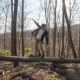 Man balancing on a fallen tree trunk.